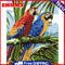 DIY Digital Oil Painting By Numbers Kits Two Parrots Animals Art Picture 40x50cm