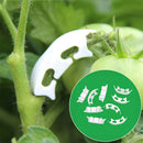 50pcs Plastic Tomato Fixing Clip Fruit Seedling Hanging Reinforcement Anti Bend