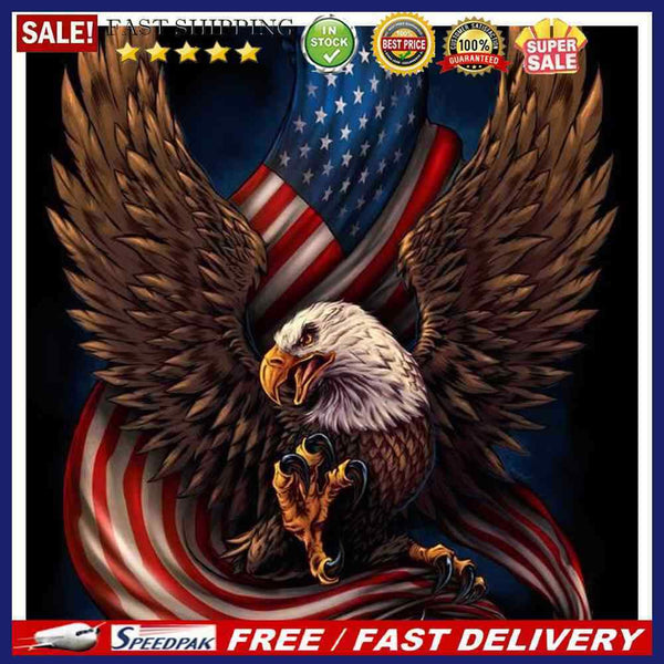 Handpainted DIY Eagle Flag Oil Paint by Numbers Pictures Artwork Craft Kit Gi