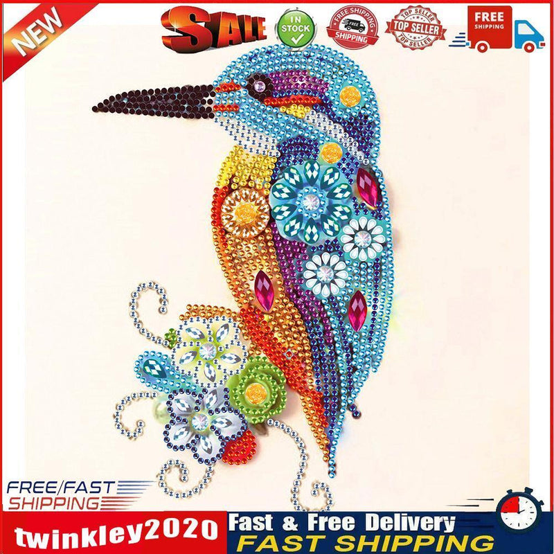 5D Partial Special Shaped Diamond Painting Hummingbird Poster Kit (UP262) Newly