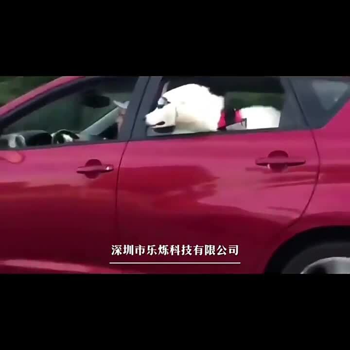 Anti-UV Sunglasses Pet Dog Sunscreen Pet Waterproof Sunglasses Supplies B7Q8