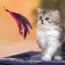5pcs Cat Teasing Feather Wall Bell Round Pets Kitten Teaser Replacement Toys