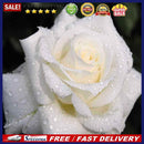 5D DIY Round Drill Diamond Painting White Rose Cross Stitch Embroidery Kit