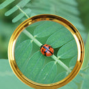 Detachable Dragon Handle Magnifying Glass Optical Lens Magnifier (100mm) Newly