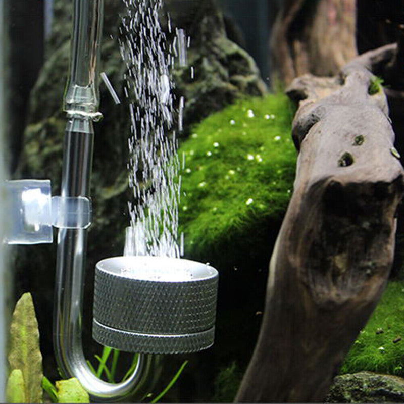 CO2 Atomizer System Diffuser Fish Tank Reactor Solenoid with Suction Cup Newly