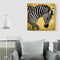 5D DIY Full Drill Diamond Painting Walking Zebra Embroidery Craft Needlework Set