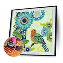 Diamond Painting Bird Butterfly Horse Partial Special Drill Picture (MX002)