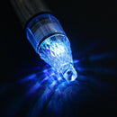 Underwater Fish That Attract Bait, LED Fishing Flash (Blue Light) (17cm)