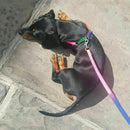 SMALL PET DOG PUPPY MATCHING COLLAR AND LEAD SET NYLON ADJUSTABLE CA P8C7