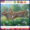 Bushes Animals Oil Paint By Numbers Kit DIY Acrylic Painting on Canvas Drawing