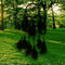 Bead Dream Catcher Black Feather Crafts Handmade Home Hanging Gifts Newly
