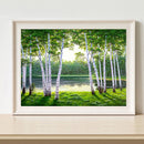 Painting By Numbers Kit DIY Woods Hand Painted Canvas Oil Art Picture Ornamen