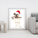Christmas Puppy Oil Paint By Numbers DIY Coloring Picture for Adults Children