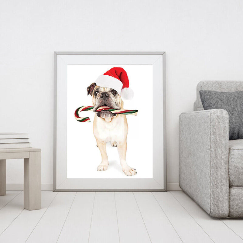 Christmas Puppy Oil Paint By Numbers DIY Coloring Picture for Adults Children
