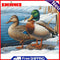 Lakeside Duck Oil Paint By Numbers DIY Home Decoration Gift Wall Art Picture Kit