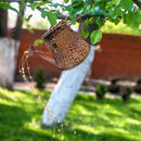 LED Solar Watering Can Lamp Garden Shower Art Metal Iron Kettle Light (B) Newly