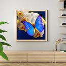 5D Diamond Painting DIY Butterfly Flower Full Round Drill Home Decoration Newly