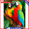 Oil Paint By Numbers Animal Parrot DIY Painting Kit Drawing Acrylic Paint Gift