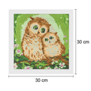 Full Drill Two Owls 5D Diamond DIY Painting Craft Kit Home Decor Newly