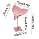 Non-slip Punch-free Fish Tail Soap Box Soap Holder Sponge Holder Drain Rack