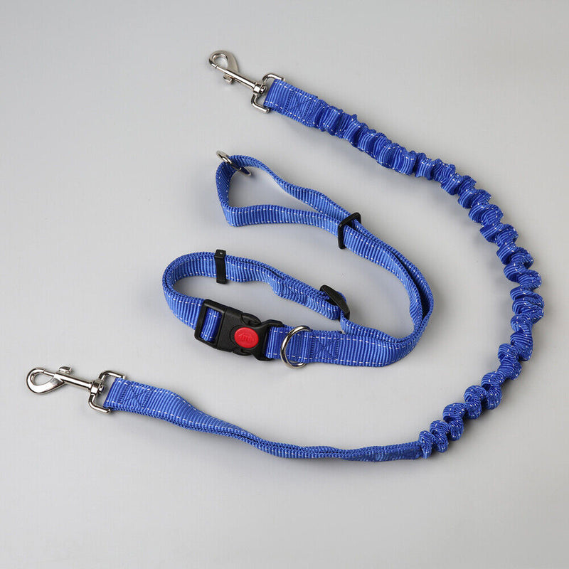 Pet Dog Traction Rope Slip Lead Training Elastic Collar Belt  Adjustable Co