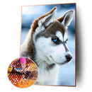 Full Round Diamond Painting 5D DIY Dog for Living Room Wall Animal Rhinestone
