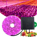 5m Solar Panel Full Spectrum Phyto Lamp 2835 SMD LED Plant Grow Light Strip