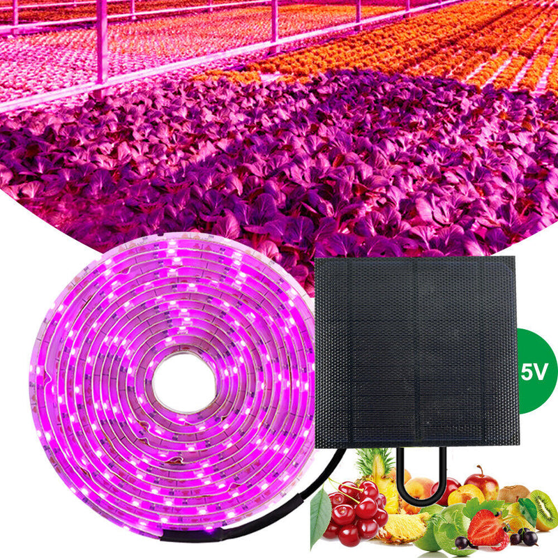 5m Solar Panel Full Spectrum Phyto Lamp 2835 SMD LED Plant Grow Light Strip