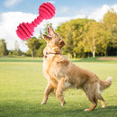 Dog Toys Pet Molar Teeth Stick Bite Sound Interactive Training Ball (Red) Newly