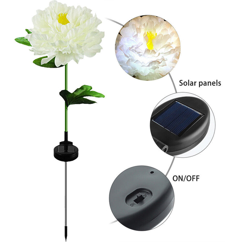 #A Solar Peony Flower Light Waterproof Lawn Landscape Lamps Garden Decoration