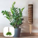 Garden Plant Climbing Pole Coir Coconut Palm Sticks Plant Vine Support Exte