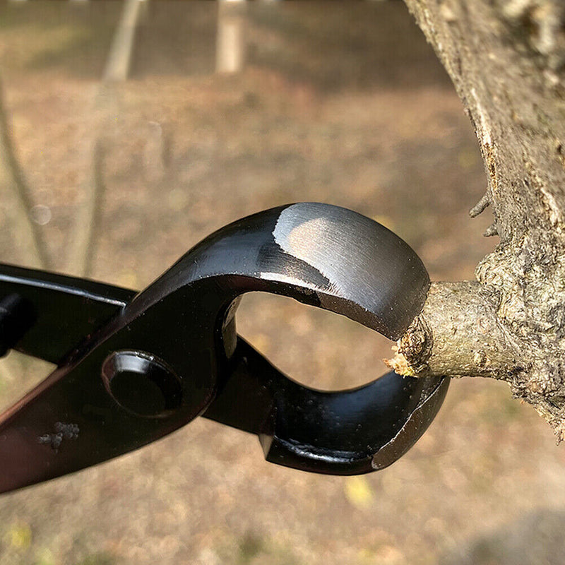 210mm Gardening Plant Branch Styling Maintenance Tools Round Nose Pruning P