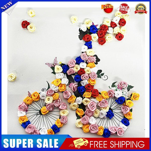 Cycling Flower Girl Partial Special Shape Crystall Drill Diamond Painting