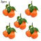 5x Realistic Lifelike Artificial Tangerine Fruit Oranges Food NE Decor W X0F2