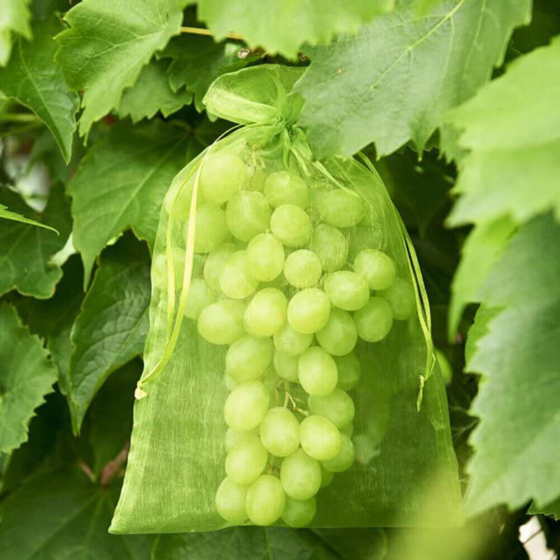 50pcs Garden Drawstring Net Bags Vegetable Fruit Grapes Protection Pouch Newly