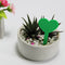 100pcs Flower Heart Shape Fleshy Label Insertion Landscape Name Plant Marker