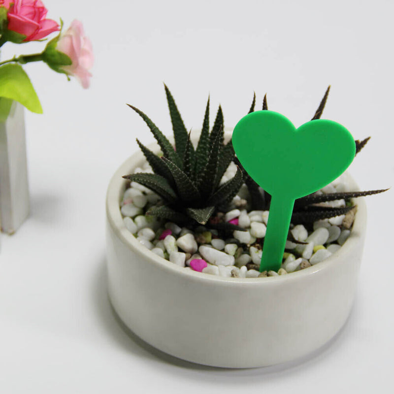 100pcs Flower Heart Shape Fleshy Label Insertion Landscape Name Plant Marker
