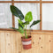 Window Sill Iron Hanging Flower Pot Rack Guardrail Balcony Planter Pot Stand