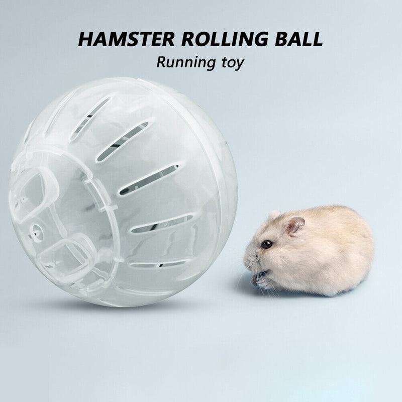 Pet Fitness Running Ball Plastic Solid Grounder Rodent Hamster Mini Jogging