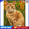 Orange Cats Oil Painting By Numbers DIY Frameless Picture On Canvas Craft