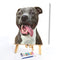 Animals Paint By Numbers Frameless DIY Handmade Picture On Canvas (Dog) #F