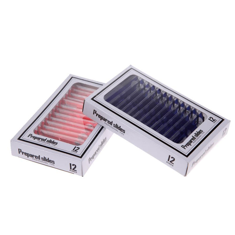 Prepared Plastic Microscope Slides Animals Insects Flowers Plants Student