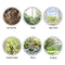 Window House Bird Feeder, Suction Cup Hang Birdhouse for Outside, Garden, Y