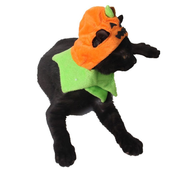 Dress Up Pet Transformation Costume Halloween Pumpkin Hat Demon Pumpkin