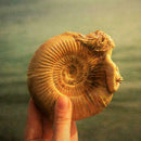 Ammonite Woman Ancient Spirit Mini Statue Desktop Decor Ornament S1J5