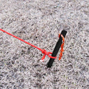 10pcs Tent Peg Aluminum Alloy Ground Nail Heavy Duty Portable for Camping Hiking