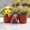 Plastic Grow Flower Pots Nursery Seedling Sprouting Growing Planter Tray Pots