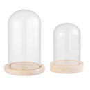 Plants Jar Terrarium Wooden base Glass cloche Flower Storage box Dust Cover