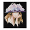 14CT Full Cross Stitch Purple Hat Lady Stamped DIY Embroidery Kits Crafts