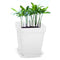 Strong White Plastic Square Plant Flower Pot Planter X5 K2V4 S4X1 Growing O8S8